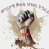 tigray390