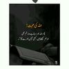 madnanali021