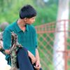 dhirajbhai524