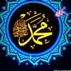 wazer137
