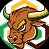blockchainbulllhornn