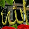 almusalaamy