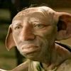 aaronhundur