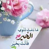 dytid8wqlsdm