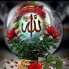 user3721431126161
