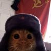 poopycat_ye24