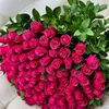 mariem.oum.hoda
