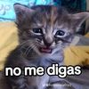 goteo3000