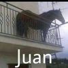 juan_gamer81