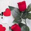 itsnessa000