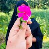 sumayaakter895