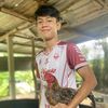 pern2266
