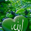 amlali9071