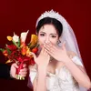 zhangmicainchina