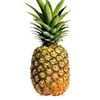 pineappleconsumer
