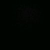 shazieesha3
