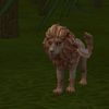 wild_wolf666