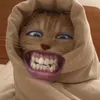hshdia3
