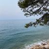 gunes12.5