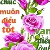 iamhuong028