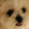 roblox_routinesedits