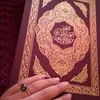 najatsahal558