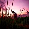 neloysarkar890