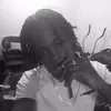 shyroh.flex