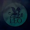 leo0152476