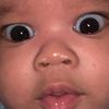 chapter._.141