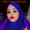 amoutafahmedguedi