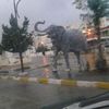 kaderkadour708
