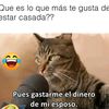 snchezcordova