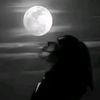 soha..b4