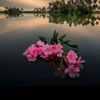forid5544