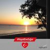 stela_1966_gungor