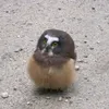 m_twek0