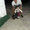 luciolopez5875