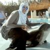 reemsalah860