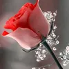 reginasouza19934
