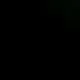 eadarysilv1