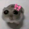_v_stan2