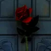 rifkyaditia233