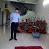 haiquyenutem