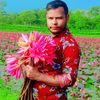 user2630180174188