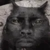 toibideptrai8