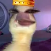 ll_peyt