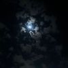 kimoo_134