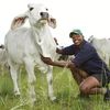 sanelethefarmer