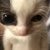 ehehkere